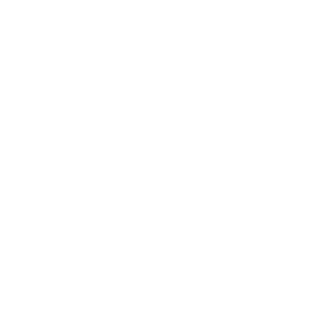 Cleaner icon