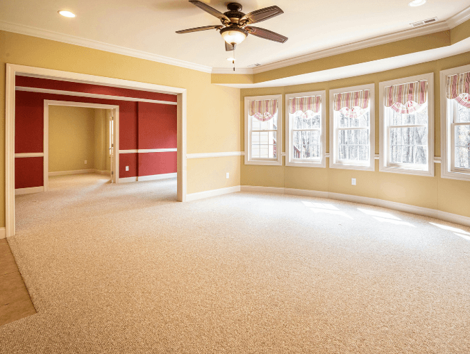 Freshly shampooed and cleaned carpet